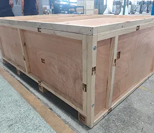 أسئلة شائعة